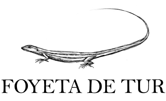 Foyata de Tur Logo